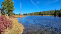 Lewis River