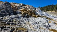 Mammoth Hot Springs