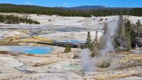 Norris Geyser