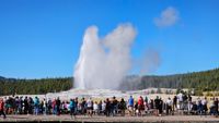 Old Faithful