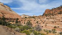 Zion NP Utah (1)